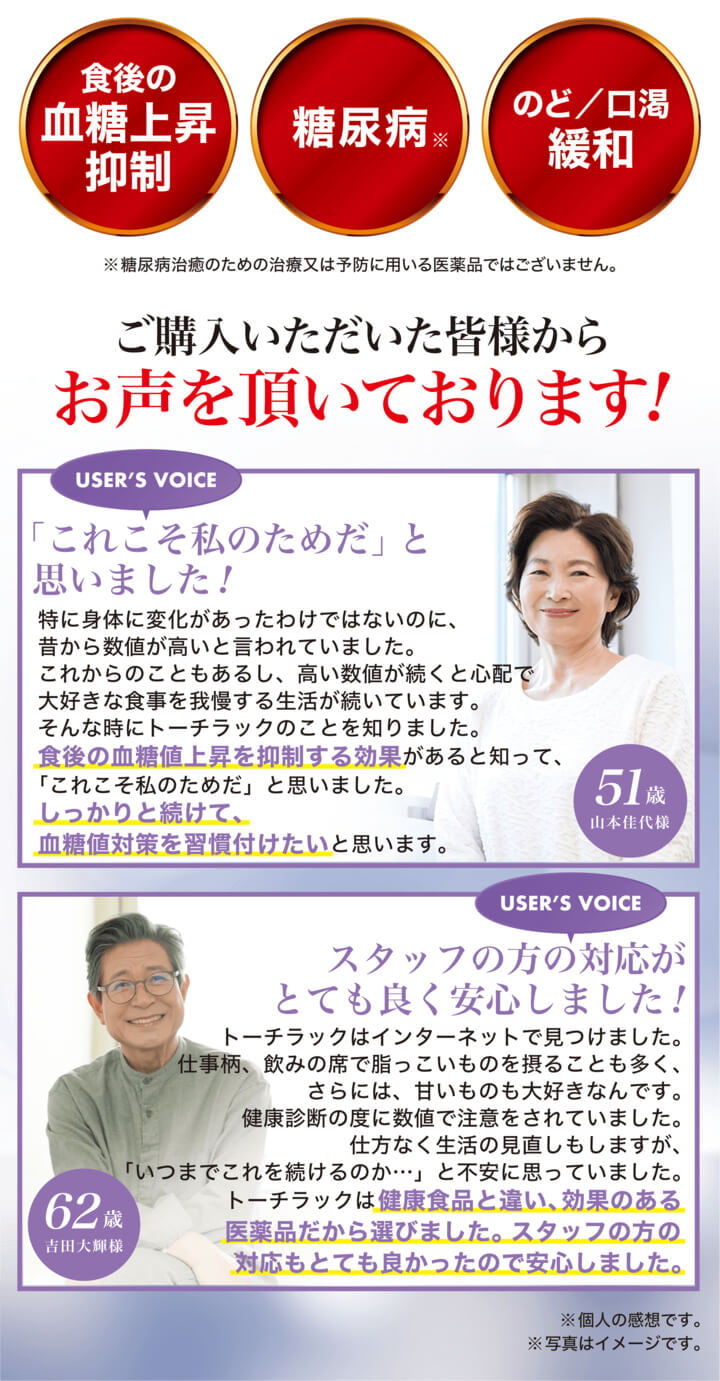 トーチラック公式販売ページ
