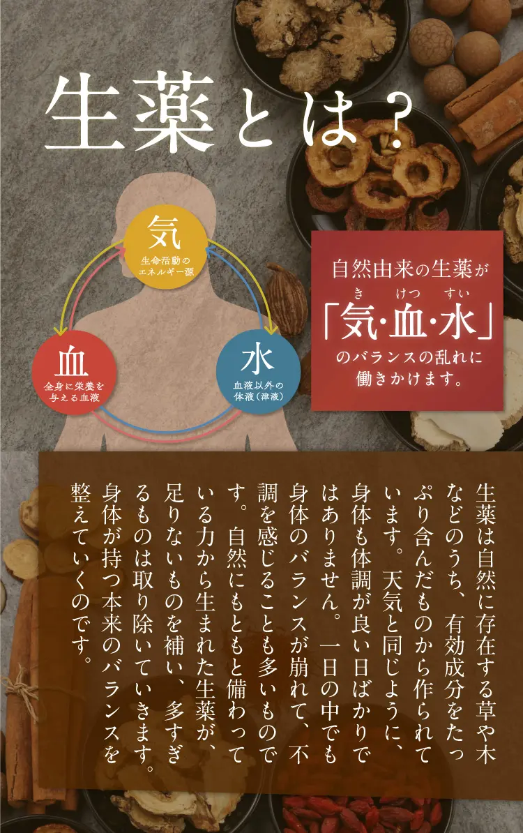 torch_new_02.webp