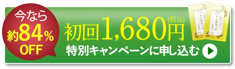 torch_new_btn_84off.webp